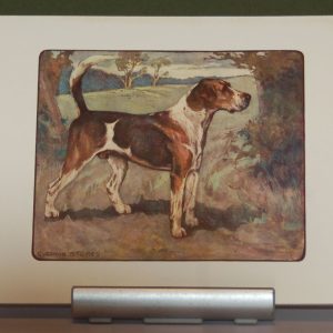 A 1909 Antique Print of a Foxhound, print is in excellent condition with no foxing, by George Vernon Stokes.
