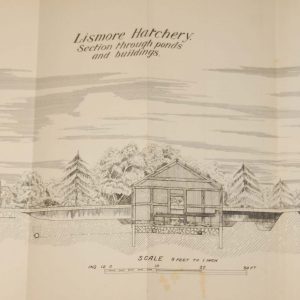 1905 Antique map/chart of the Lismore Hatchery Buildings in County Waterford, Ireland.