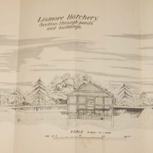 1905 Antique map/chart of the Lismore Hatchery Buildings in County Waterford, Ireland.