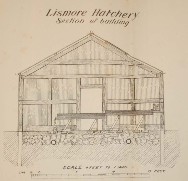 1905 Antique print of a building section in Lismore Hatchery, County Waterford, Ireland.