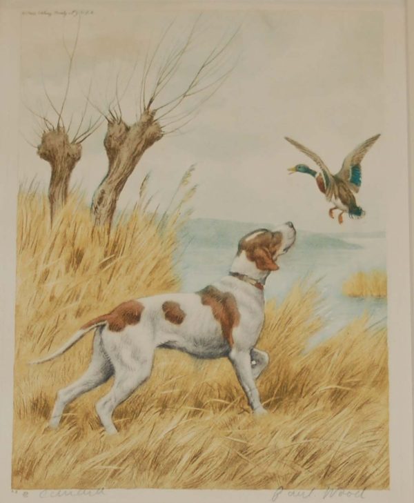 1935 vintage print an etching of a Pointer raising some ducks. The print is signed in pencil by the artist Paul Wood and was released by the Paris Etching Society.