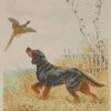 1935 vintage print an etching of a Gordon Setter raising a pheasant. The print is signed in pencil by the artist Paul Wood and was released by the Paris Etching Society.