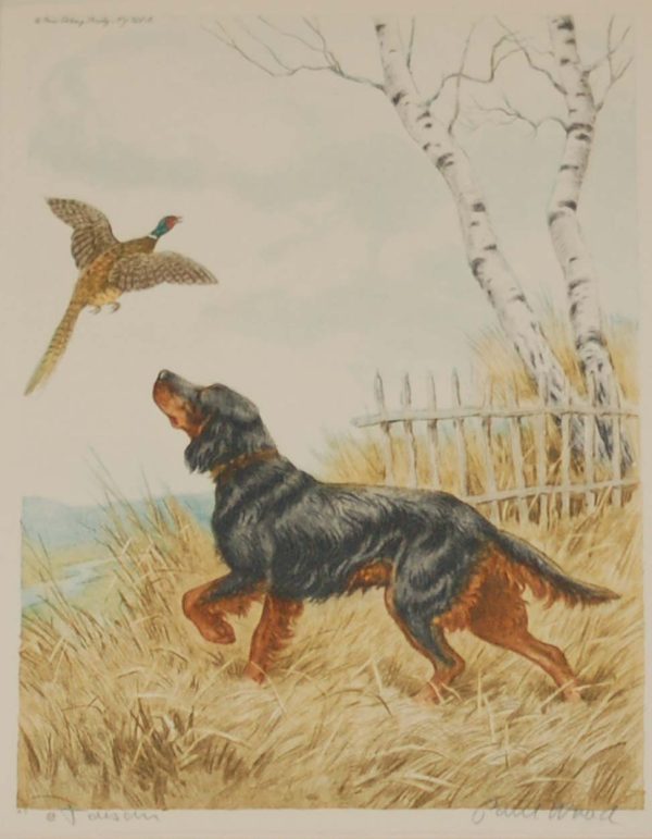 1935 vintage print an etching of a Gordon Setter raising a pheasant. The print is signed in pencil by the artist Paul Wood and was released by the Paris Etching Society.