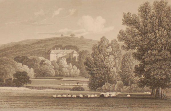 Oakley Park Shropshire, antique print, an engraving from the late Georgian period. The original drawing was done by J P Neale and it was engraved by W Bond.