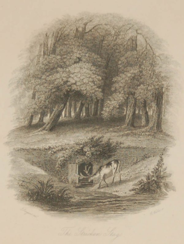 Antique Victorian print, an engraving published in 1840 after a painting by J Sargeant, titled The Stricken Stag. Engraved by K Wallis.