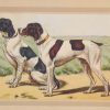 Vintage print of two Pointers after P Mahler, a chromolithograph from 1938. The print was produced in France and is titled Le Pointer.