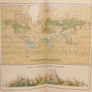 Antique colour map of the World Vegetation, also includes a smaller map of vegetation by altitude.