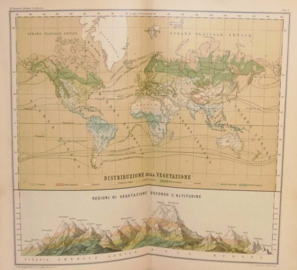 Antique colour map of the World Vegetation, also includes a smaller map of vegetation by altitude.