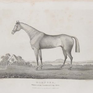 1837 antique print, of Hornsea, the winner of the Goodwood Cup in 1836. Original drawing by Parker J & C Walker is the engraver.