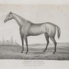 1837 antique print, of Sheet Anchor, winner of the Lincoln Gold Cup in 1835. J & C Walker is the engraver.