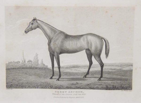 1837 antique print, of Sheet Anchor, winner of the Lincoln Gold Cup in 1835. J & C Walker is the engraver.