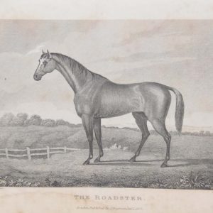1837 antique print, of the Roadster, a type of horse used for drawing carriages. Original drawing by Parker J & C Walker is the engraver.
