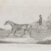 1837 antique print, of Nonpareil, a celebrated trotting mare and the property of a Mr John Dixon. Original drawing by W H Davis,  J & C Walker is the engraver.