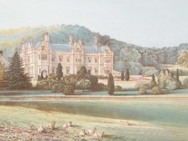 Antique colour print, a chromolithograph from 1880 of Mamhead in Devon