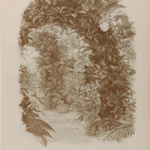 Antique botanical print, Victorian, titled A Fern Paradise. A lithograph, published by W H & L Collingridge in 1890.