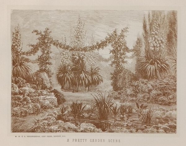 Antique botanical print, Victorian, titled Pretty Garden Scene