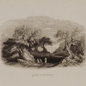 1844 antique print, engraving titled Garden of Gethsemane, engraved by S Williams. Based on drawings by W H Bartlett of Jerusalem.