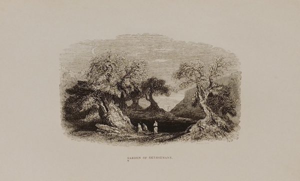 1844 antique print, engraving titled Garden of Gethsemane, engraved by S Williams. Based on drawings by W H Bartlett of Jerusalem.
