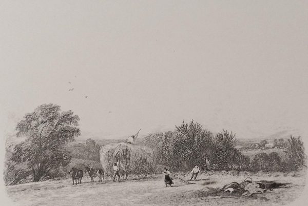 Etching published in 1864, dated in the plate 1850 by Robert Brandard titled The Hayfield