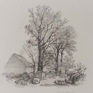 Etching published in 1864, dated in the plate 1842 by Robert Brandard titled Lane near Herne Bay